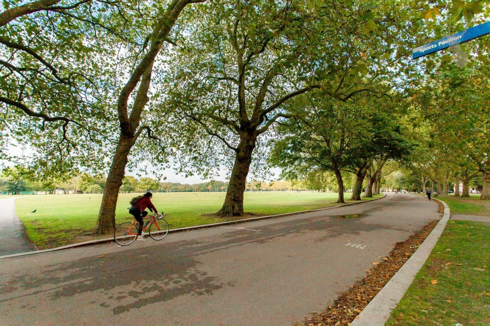 Vic Park.jpg