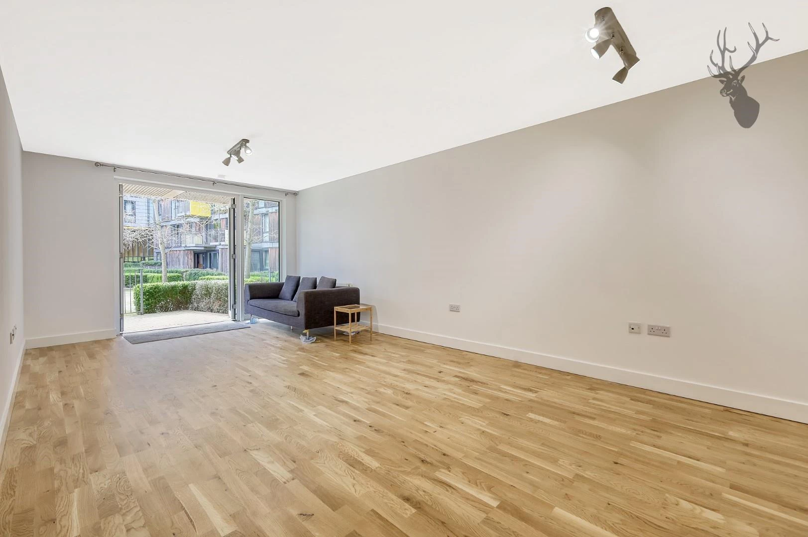 IMG_3674_16 copy.jpg