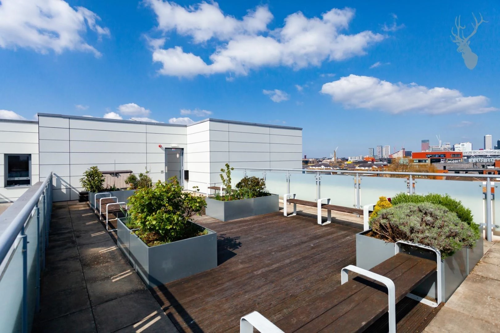 Terrace.jpg
