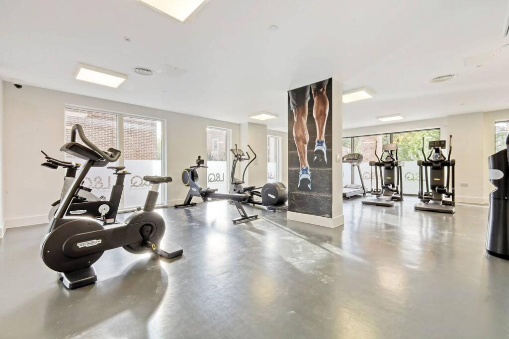 Gym - Vesspucci.jpeg