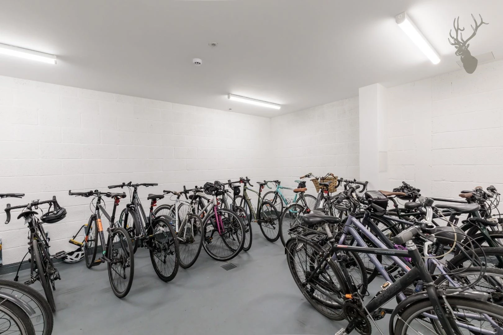 Bike storage.jpg