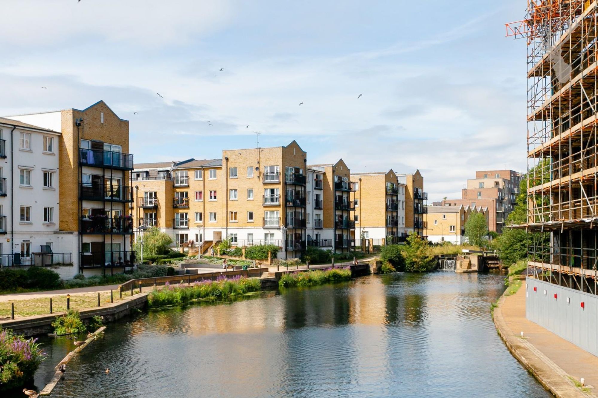 Tramway Court (22).jpg