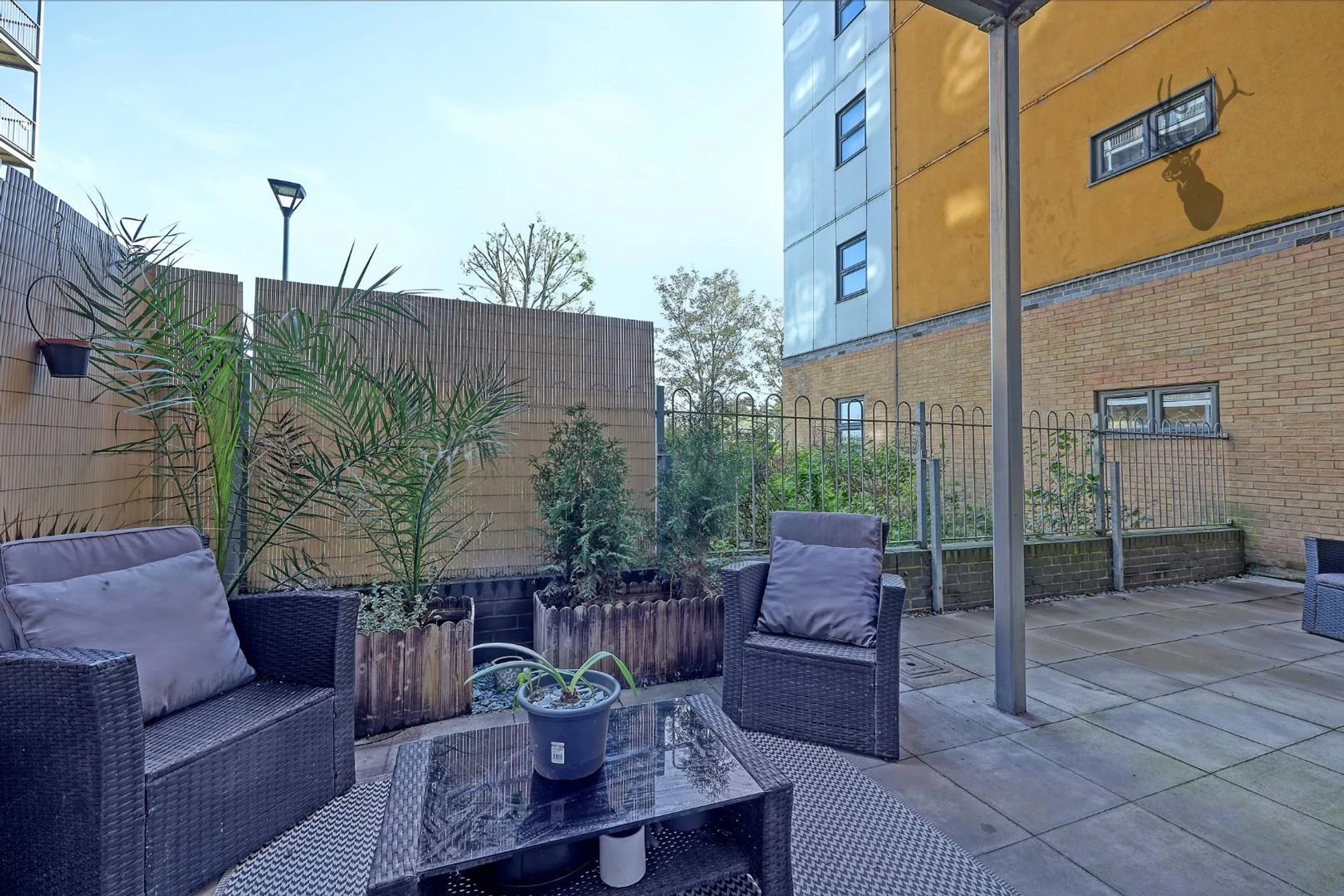 Photo 8