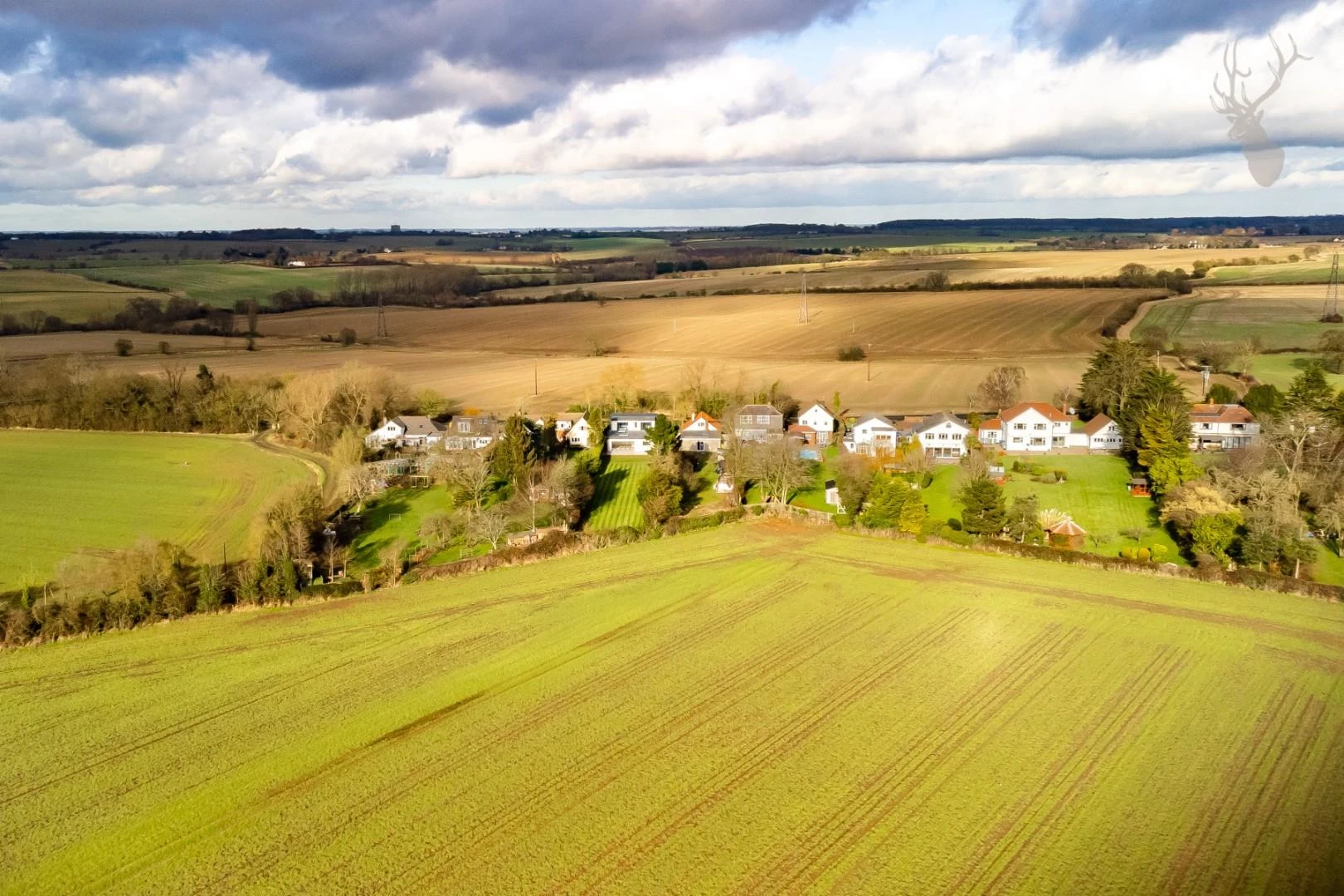 3-DJI_0412.jpg