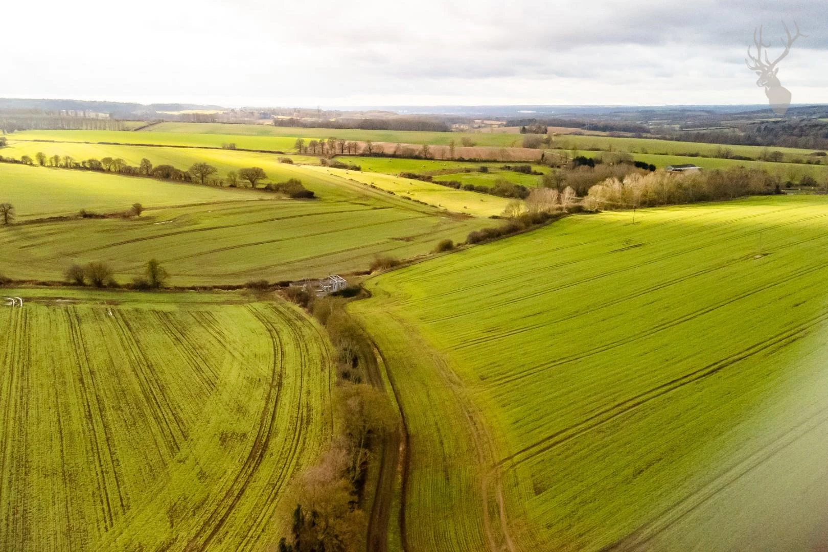 9-DJI_0442.jpg