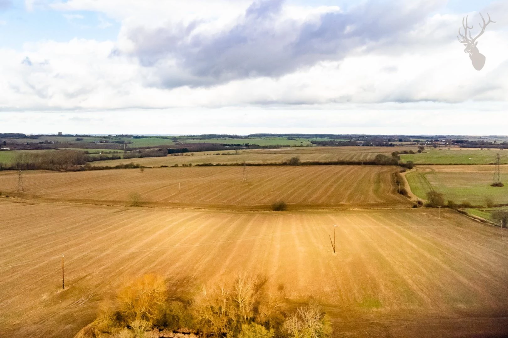10-DJI_0443.jpg