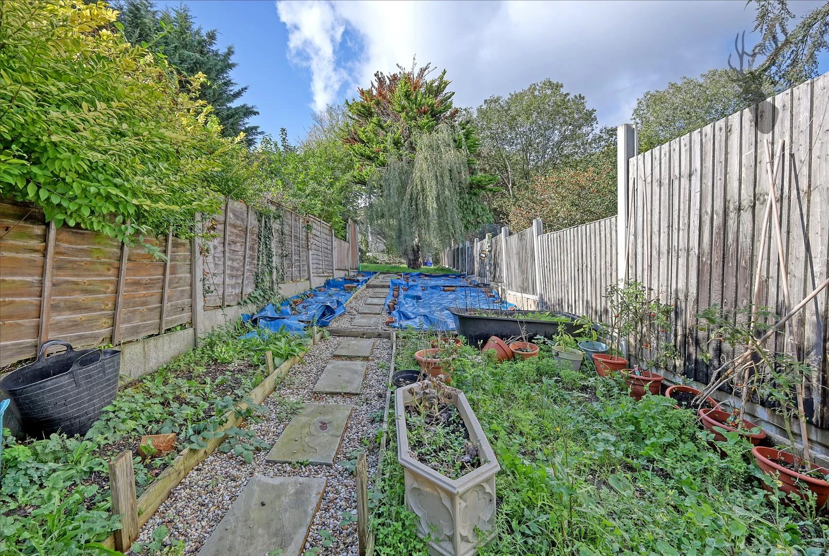 Photo 16