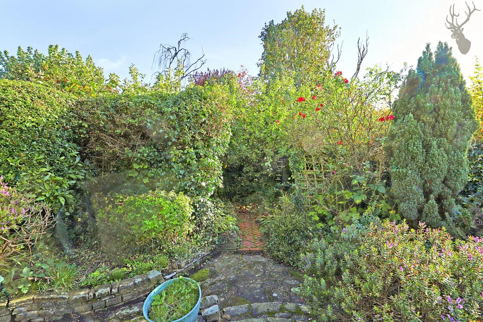 Photo 14
