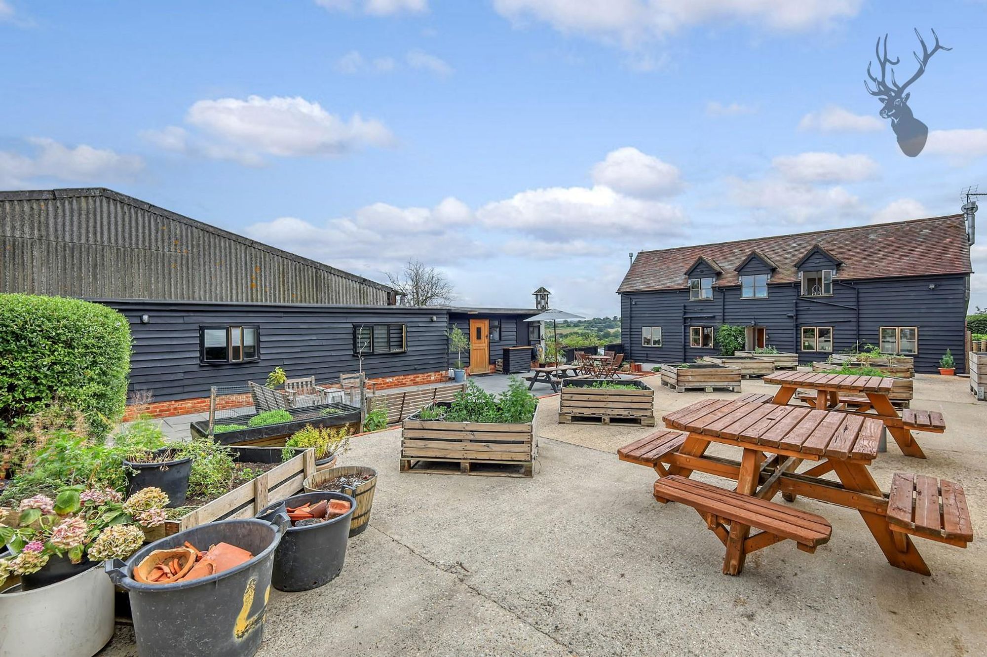 Photo 42