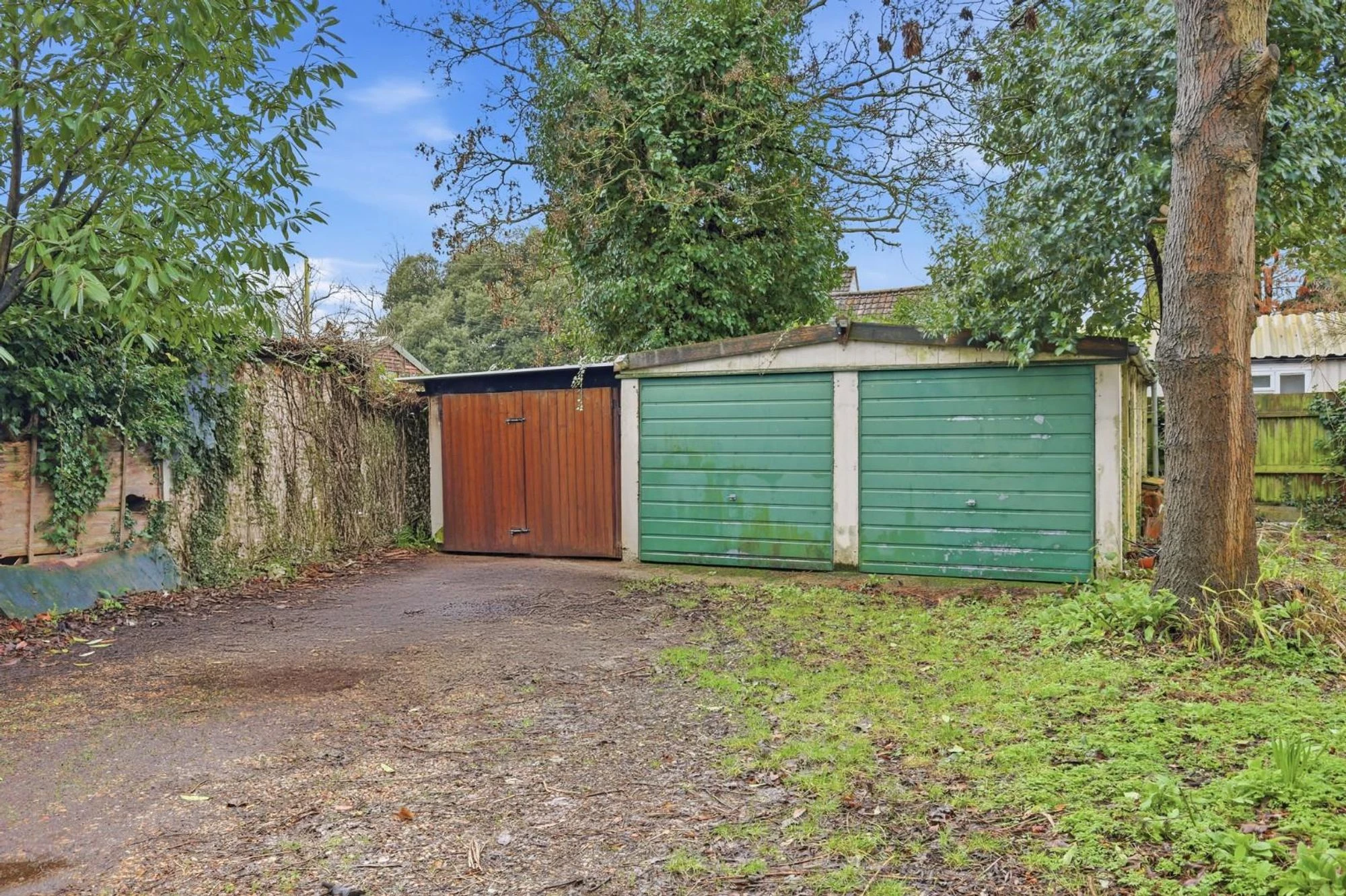 Photo 26