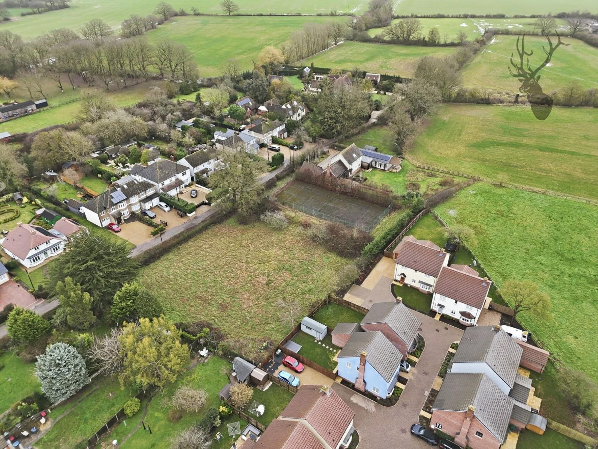 dji_20260212100304_0123_d.jpg