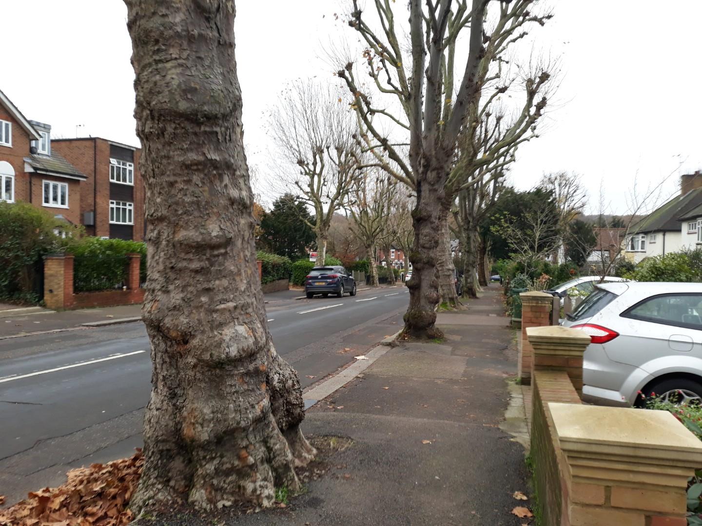 Property For Sale Falmouth Avenue, Chingford, E4 5 Bedroom House