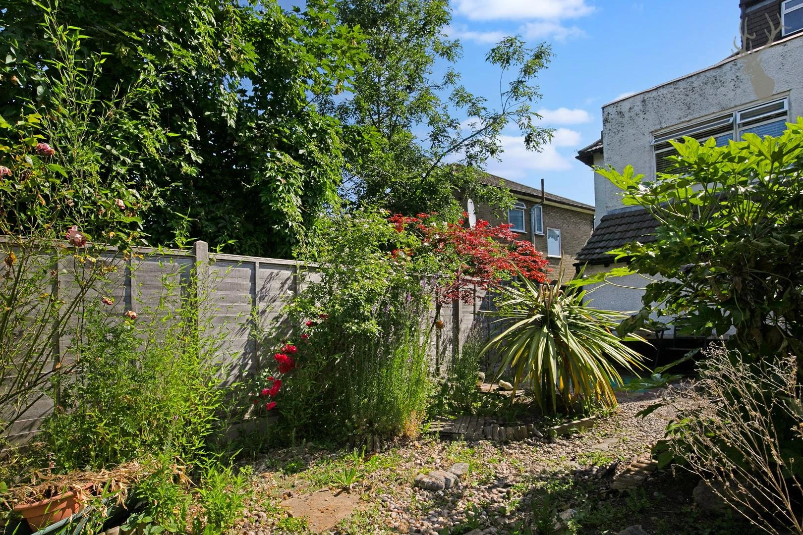 Photo 21