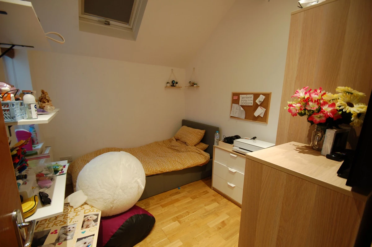 Photo 7
