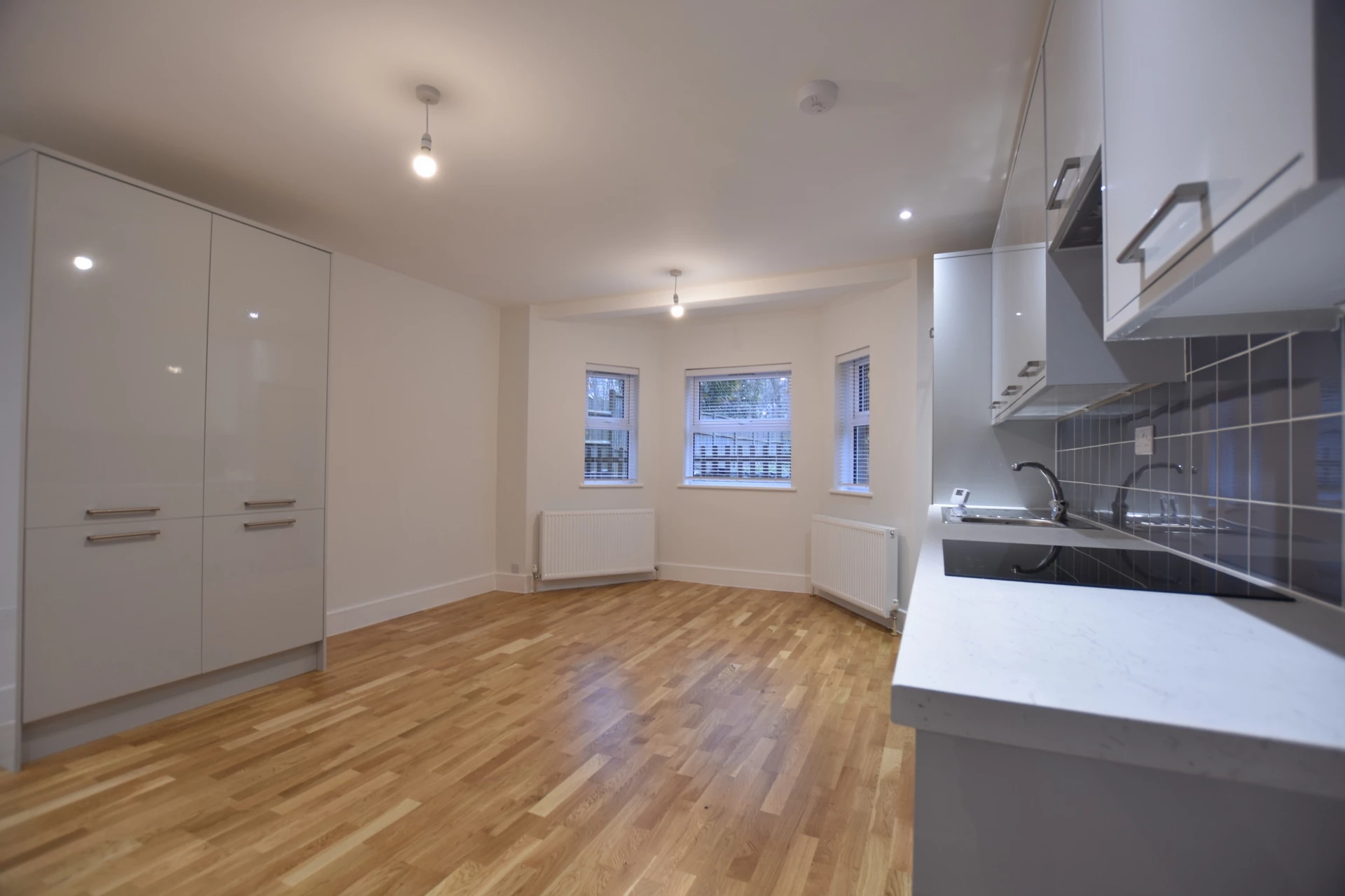 Kitchen / Living Room