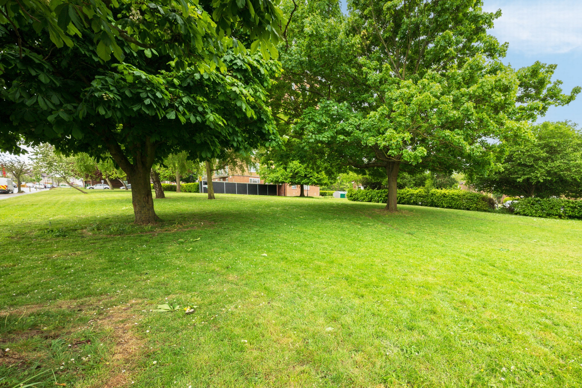 Communal Garden