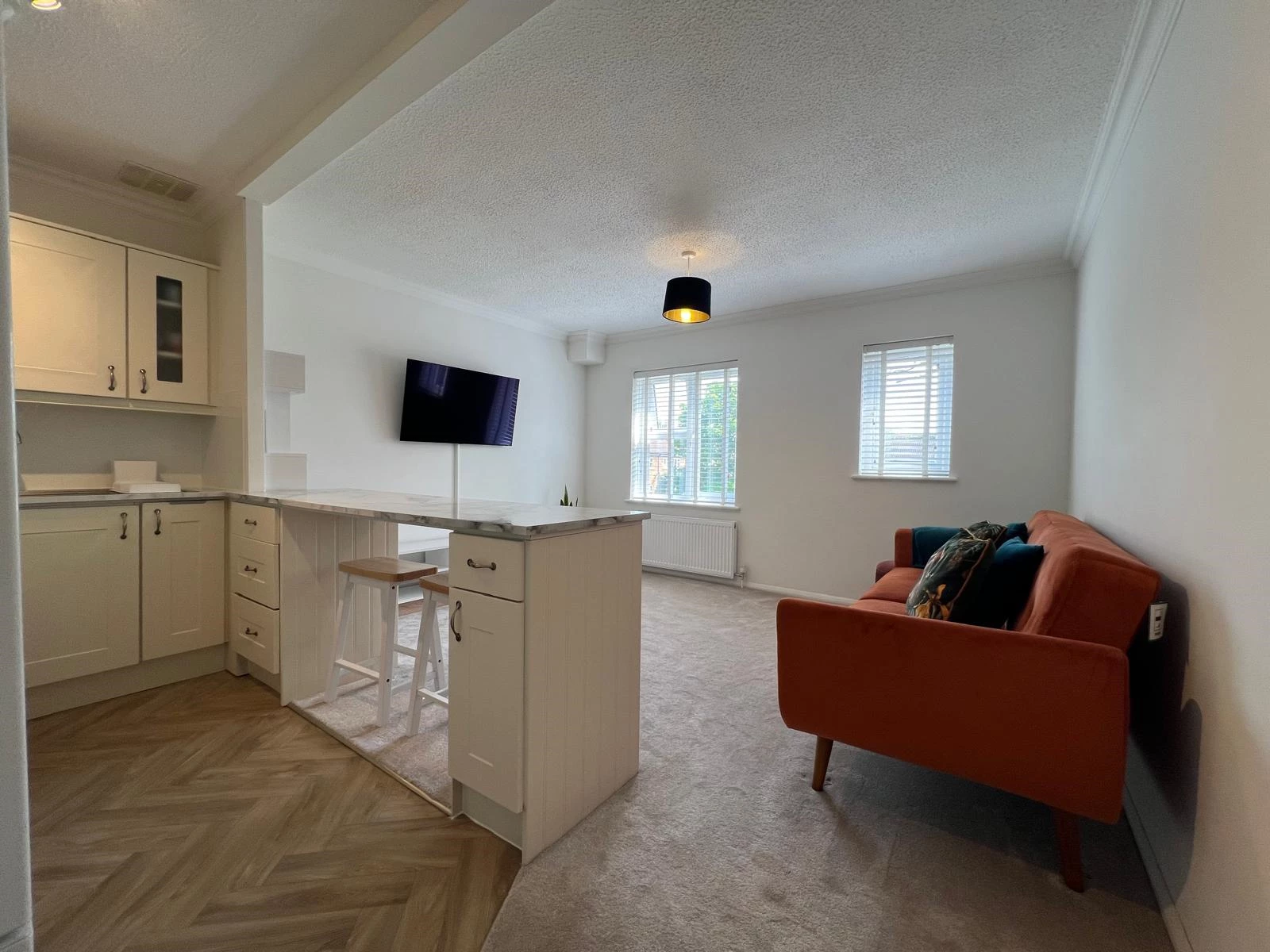 Living Room / Kitchen