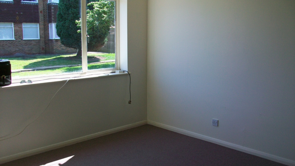 Library Picture
