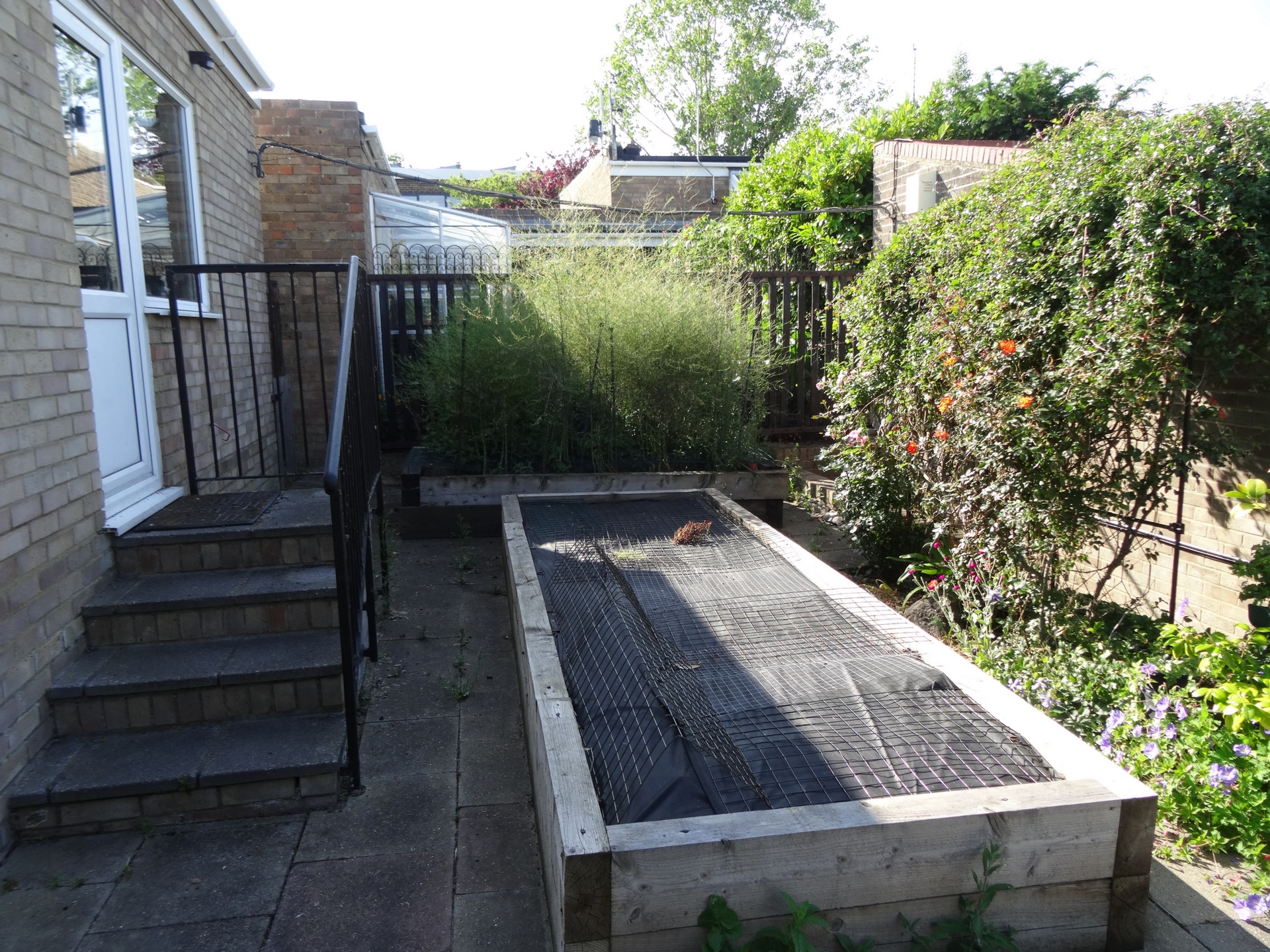 Photo 23
