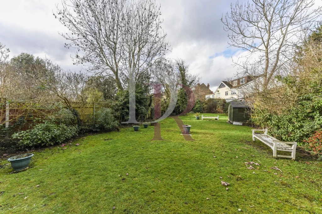 SHARED GARDEN