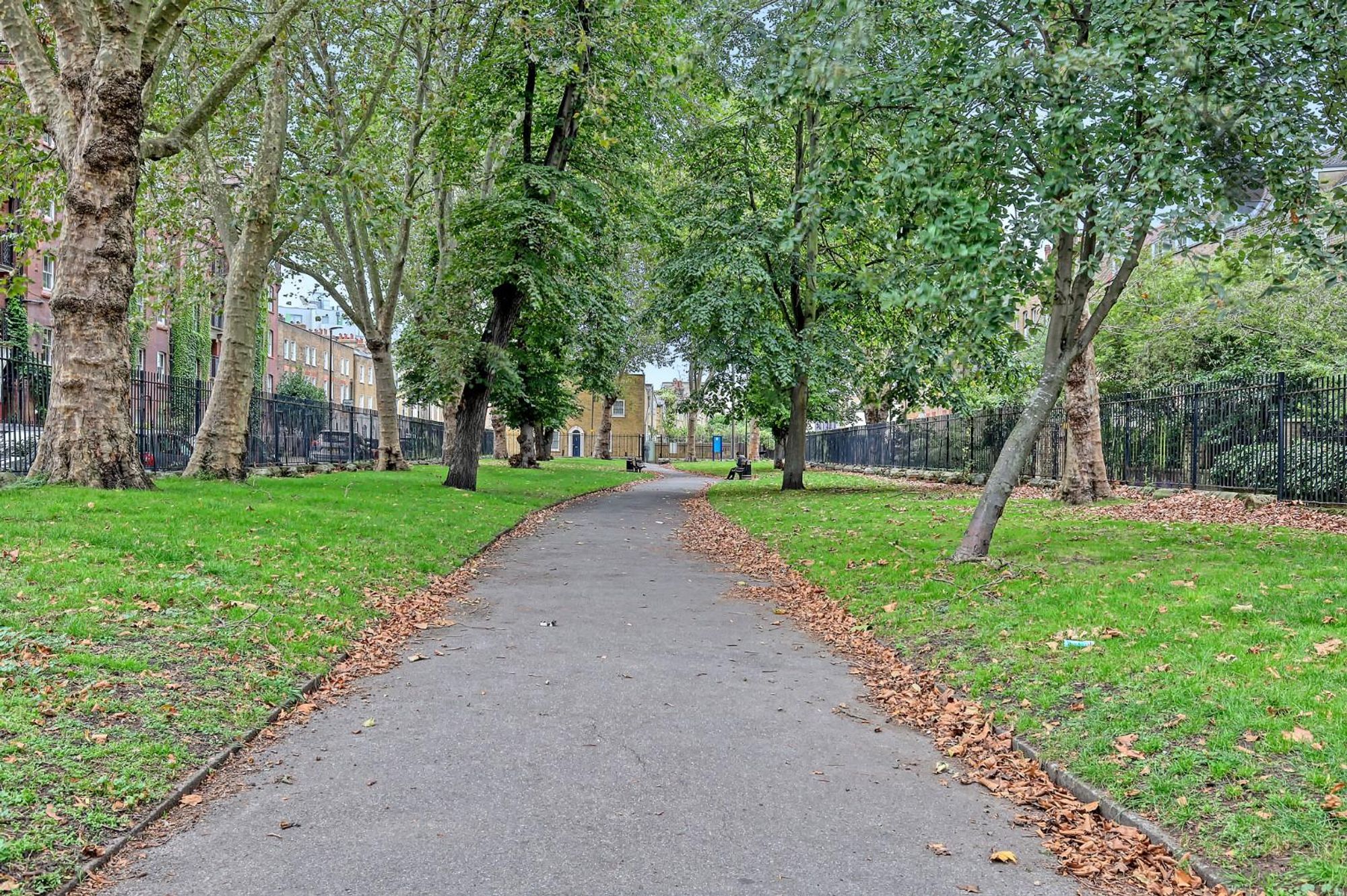 Photo 14