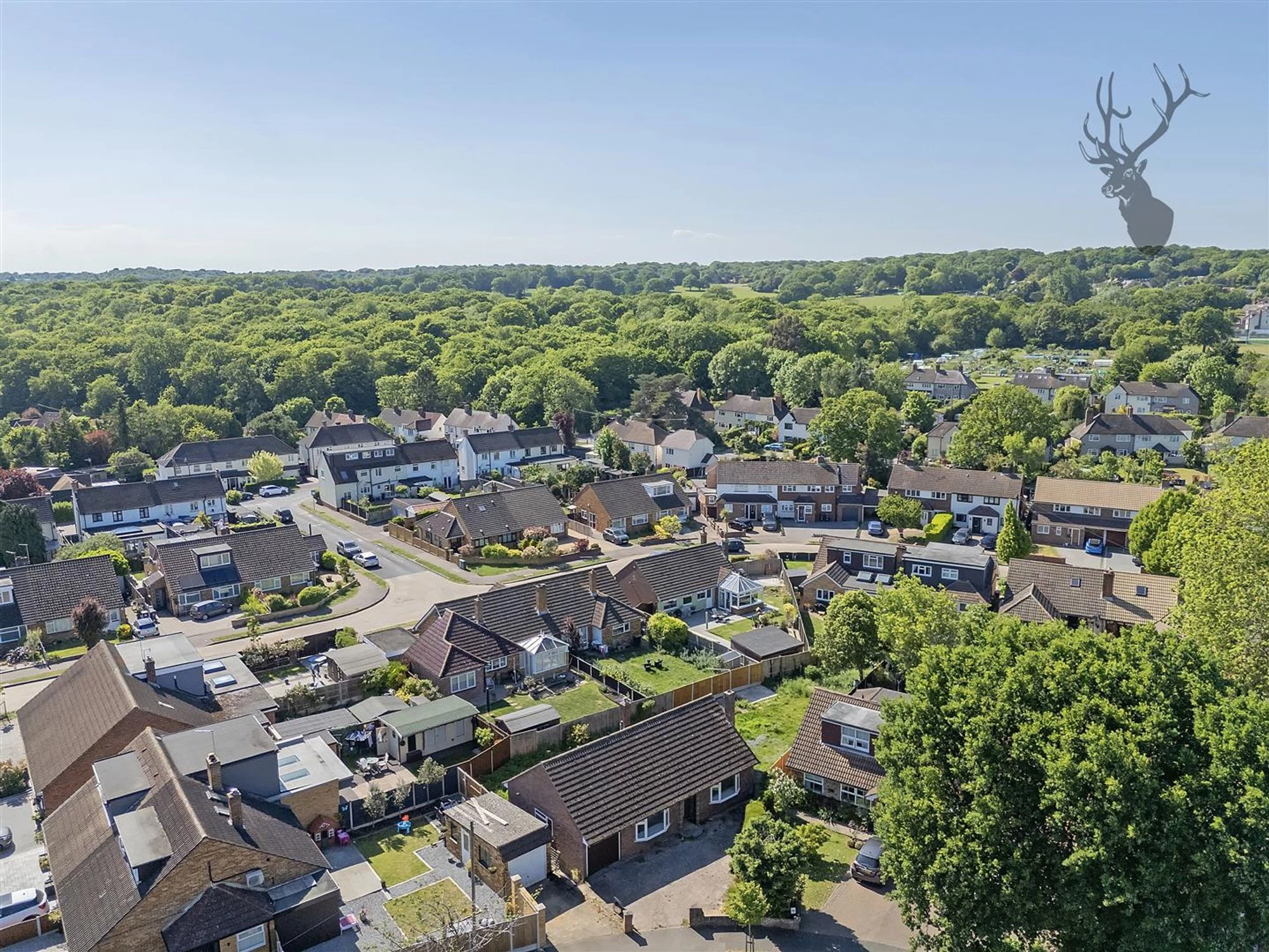 Photo 9 Photo 9