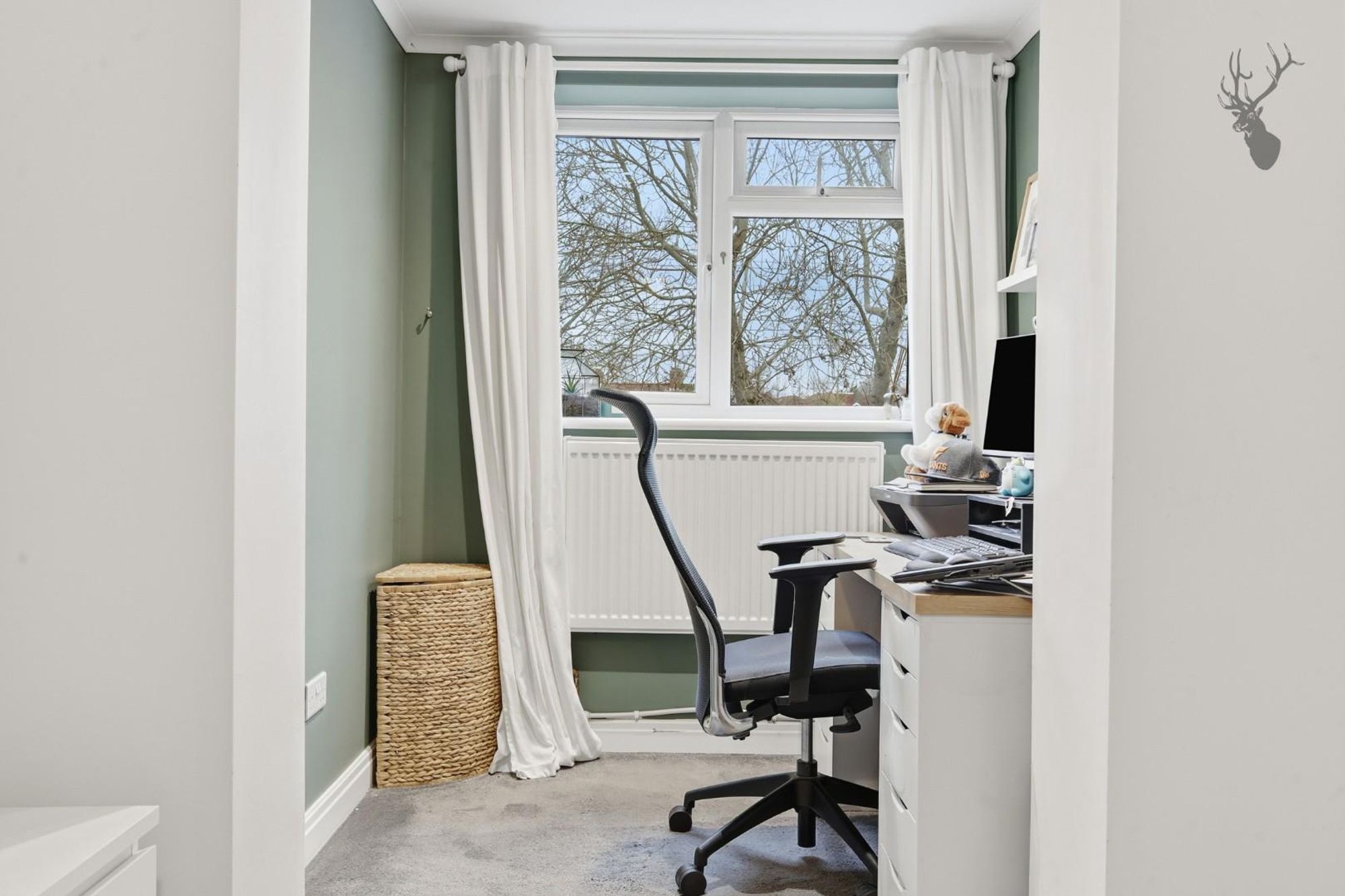 Photo 15