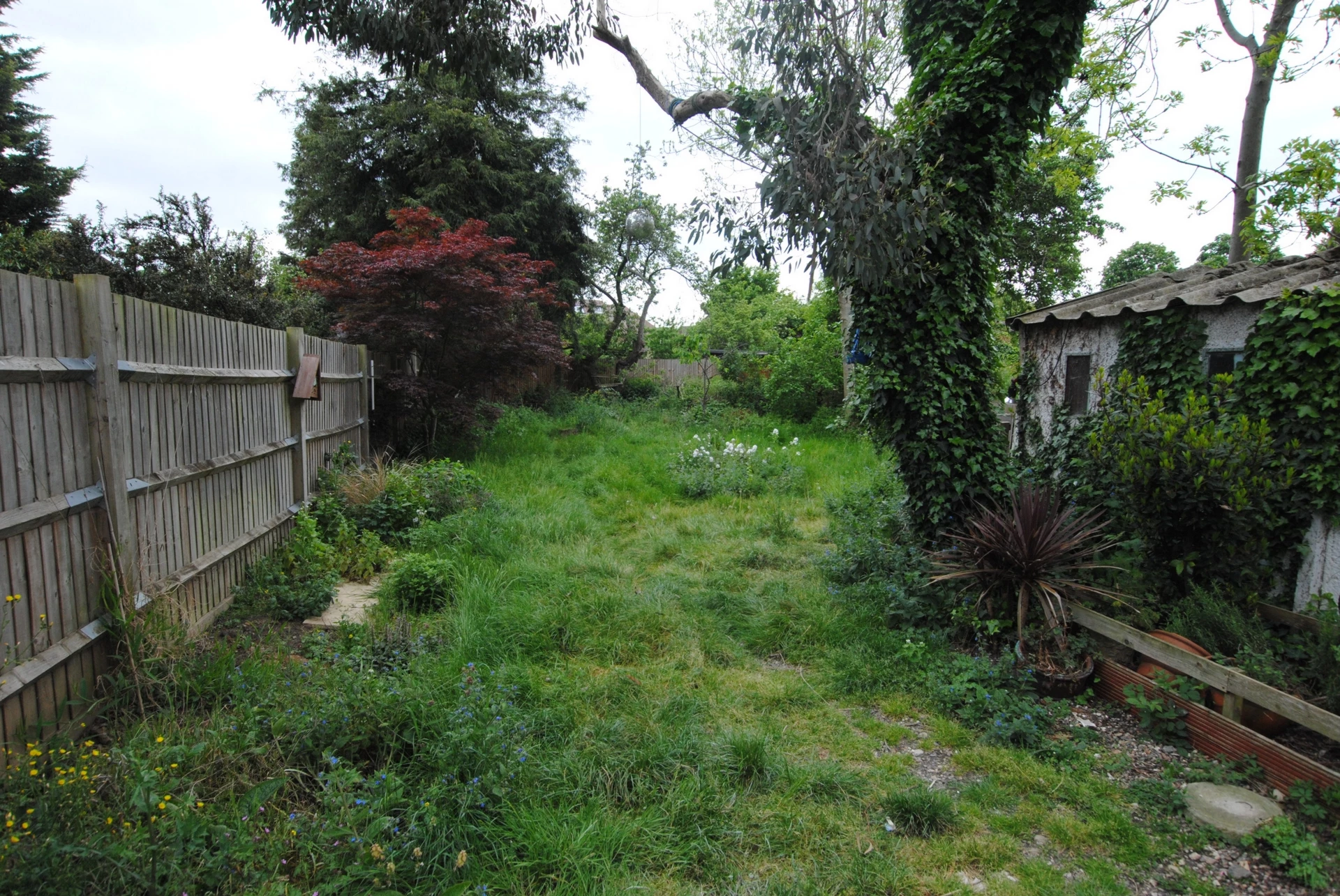 Photo 16