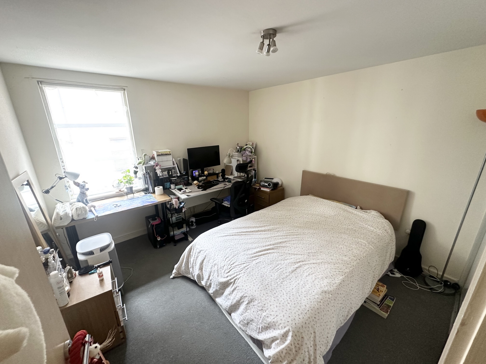 Photo 5