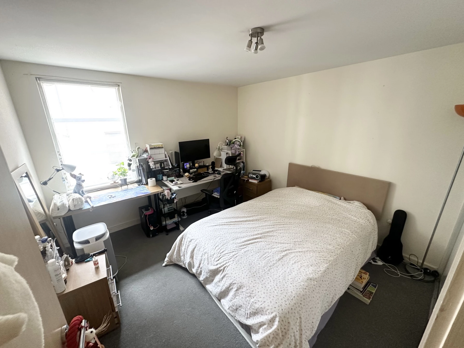 Photo 5