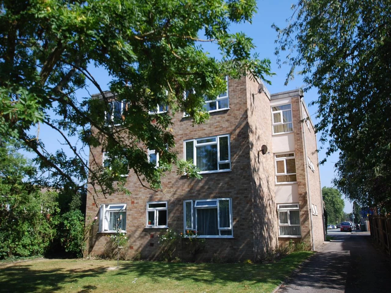 Rear