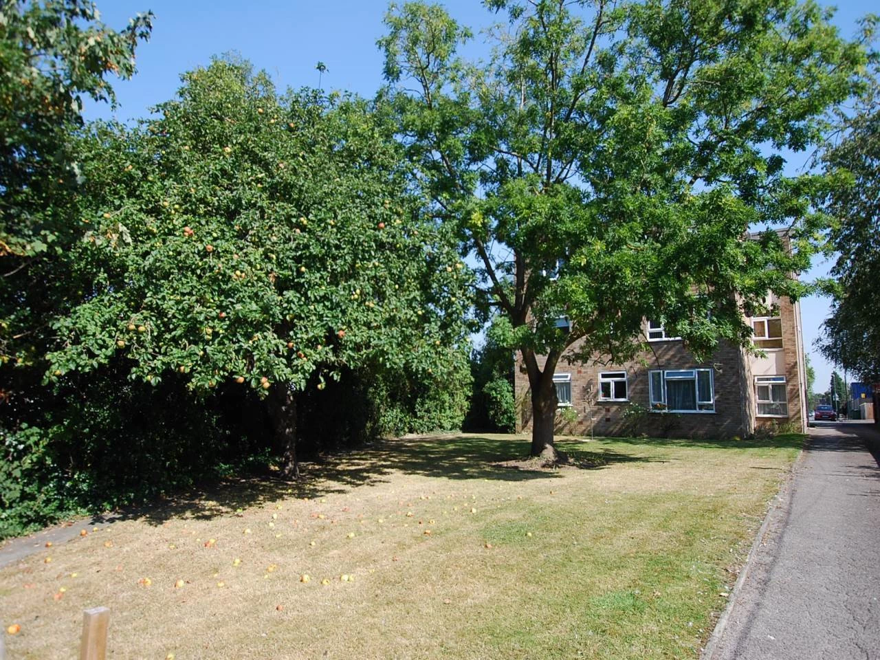 Communal garden