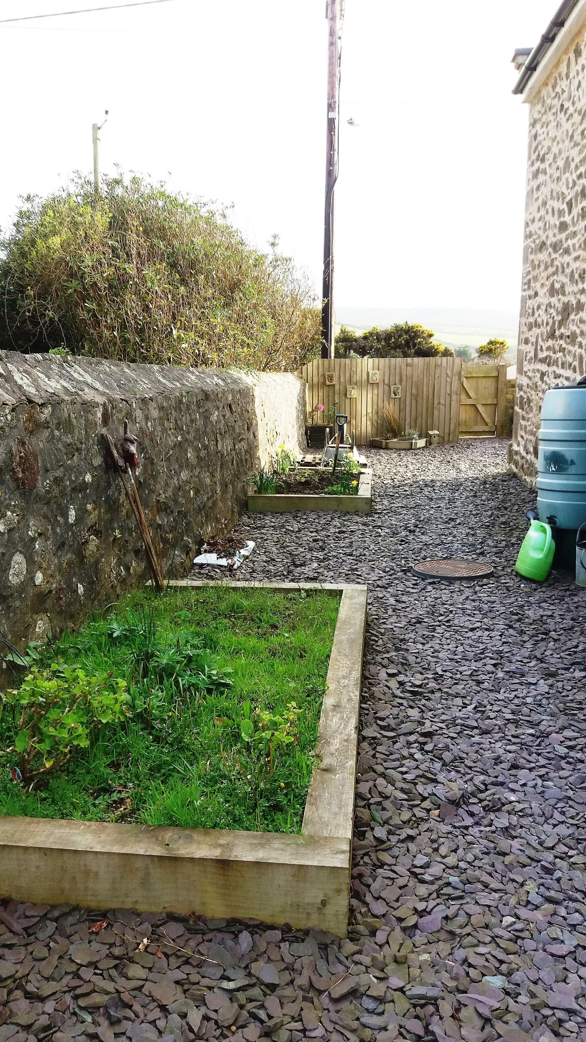 Side Garden