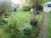 Front Garden Front Garden