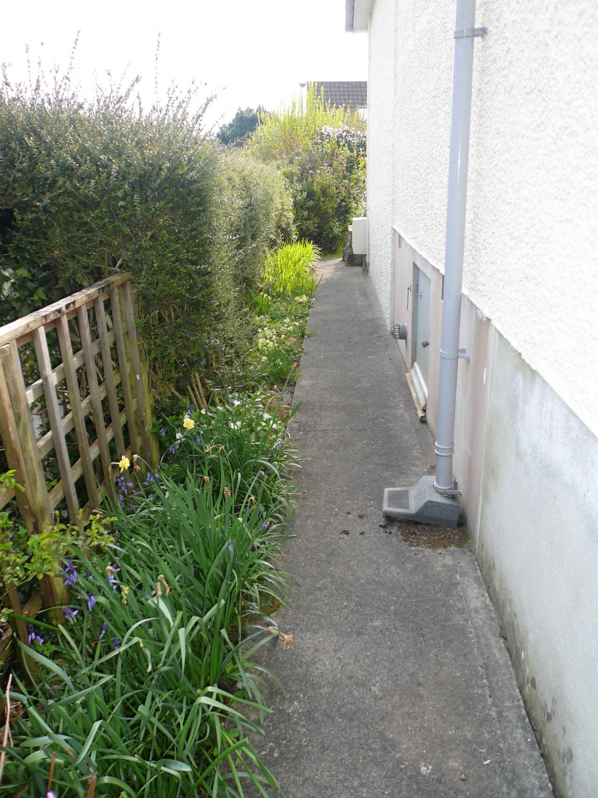 Side Garden
