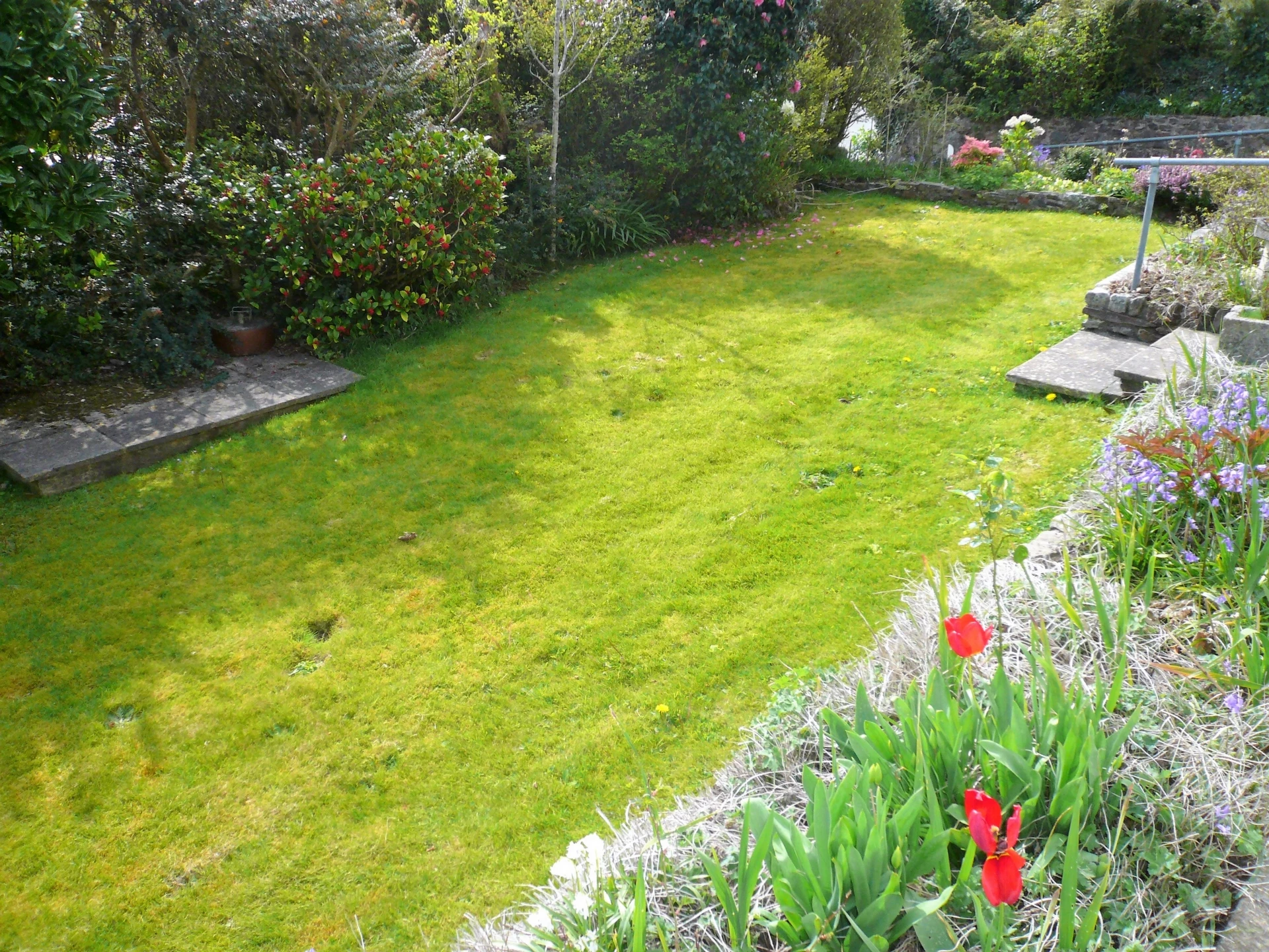 Front Garden