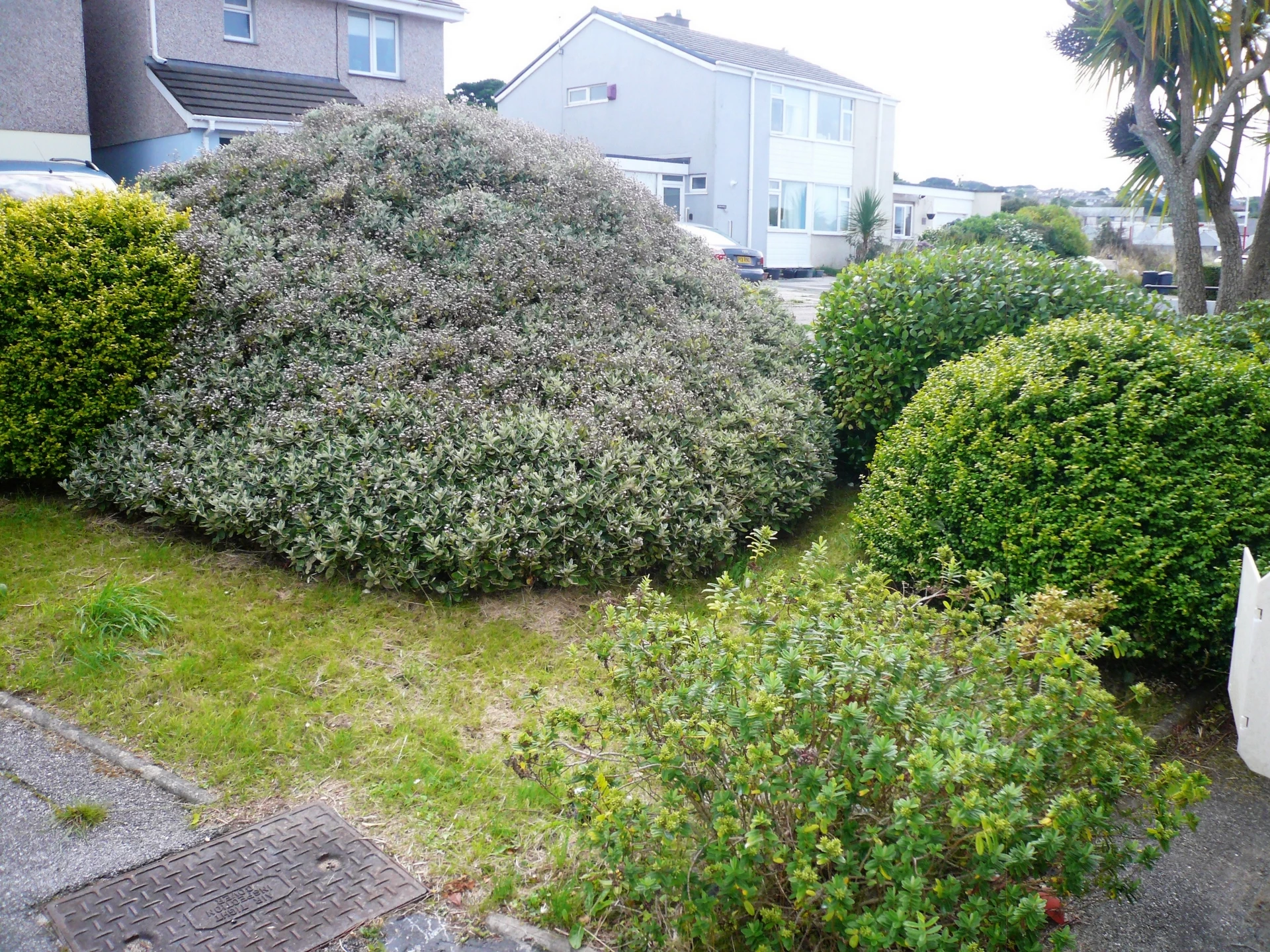 Front Garden