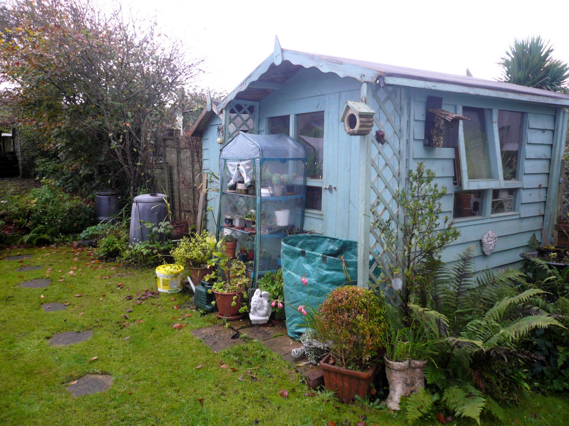 Timber Sheds