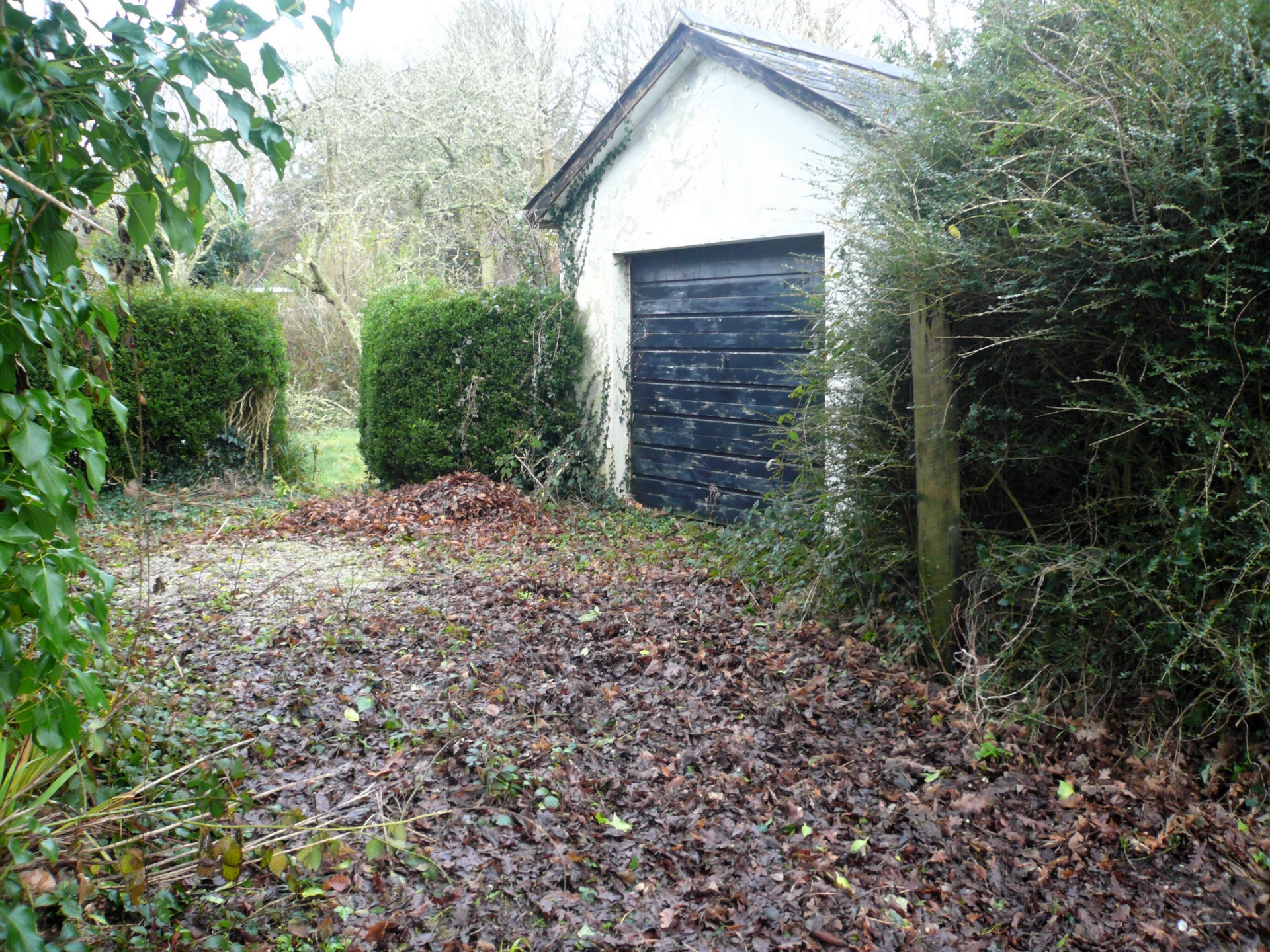 Garage & Driveway