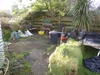 Rear Garden Rear Garden