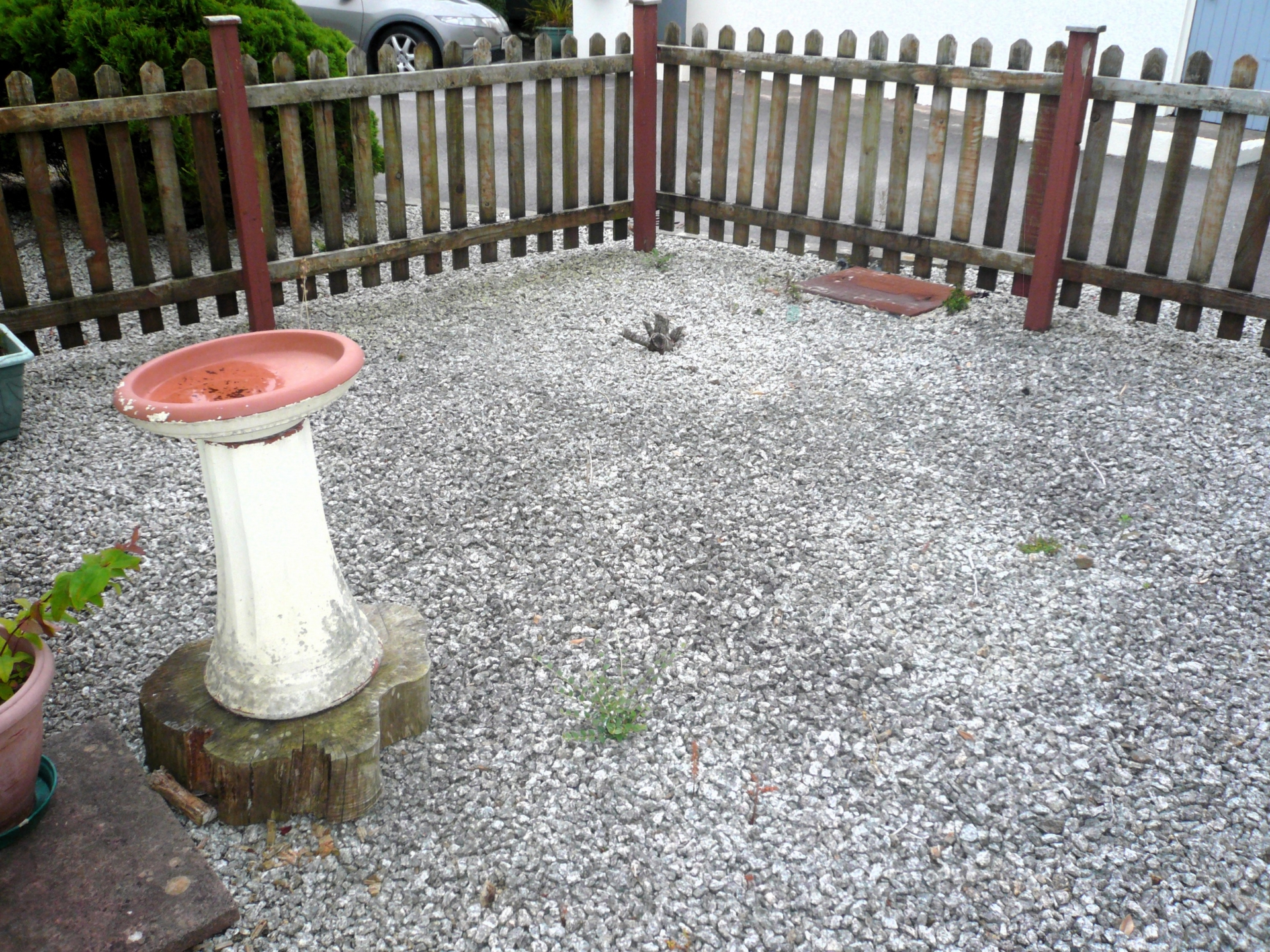 Side Garden