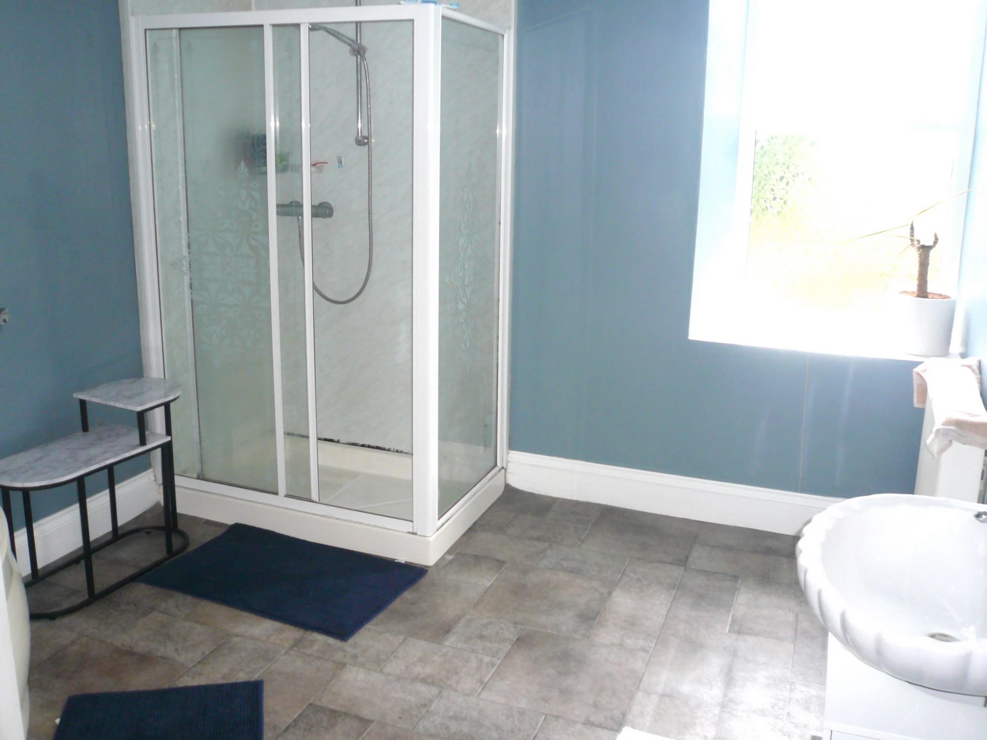 Bathroom/Shower Room
