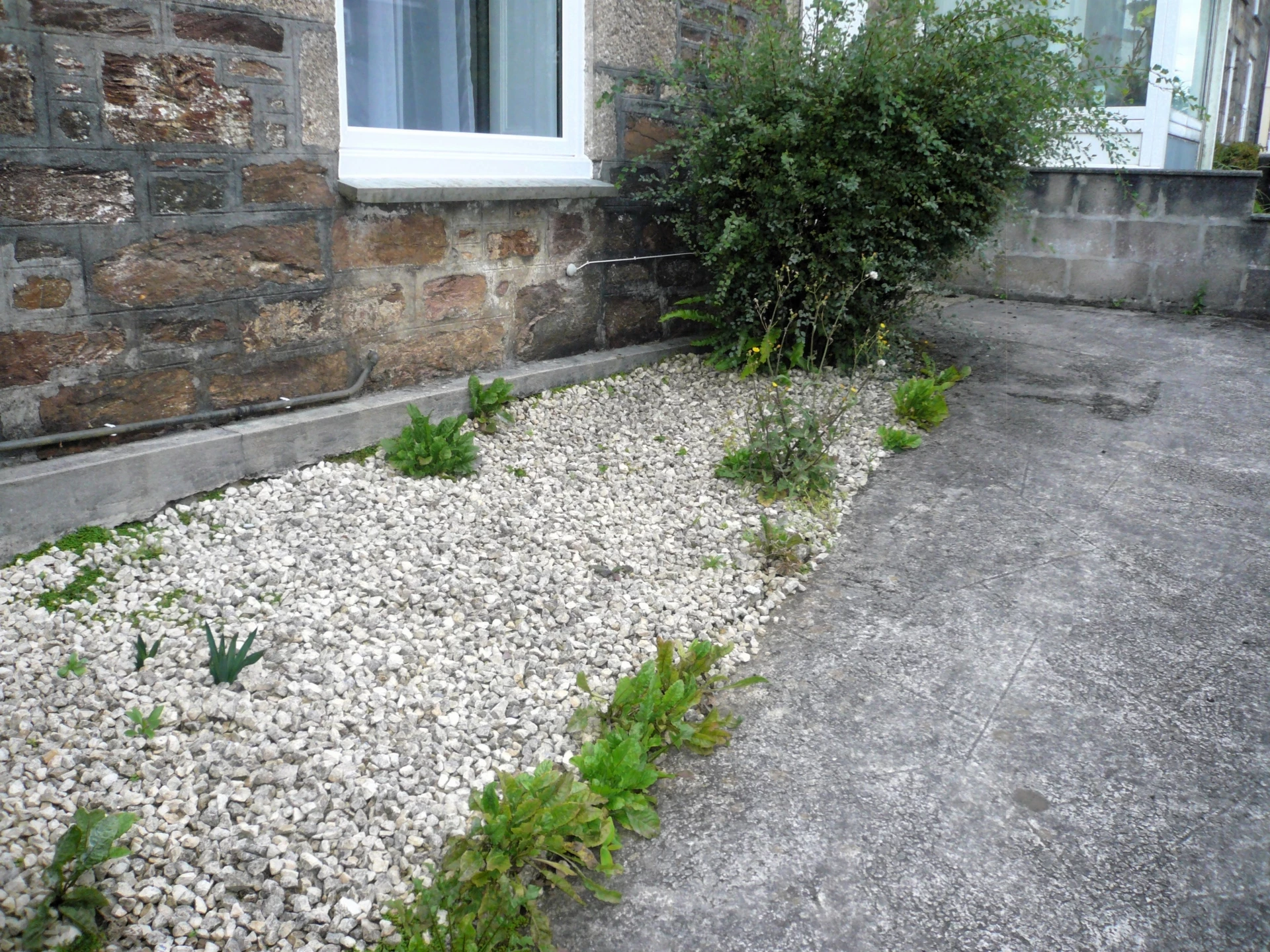 Front Garden