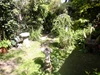 Garden Garden