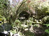 Garden Garden