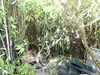 Garden Garden