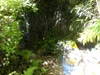 Garden Garden