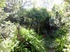 Garden Garden
