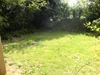 Garden Garden