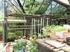 Greenhouse Greenhouse